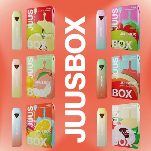 Juusbox Disposable